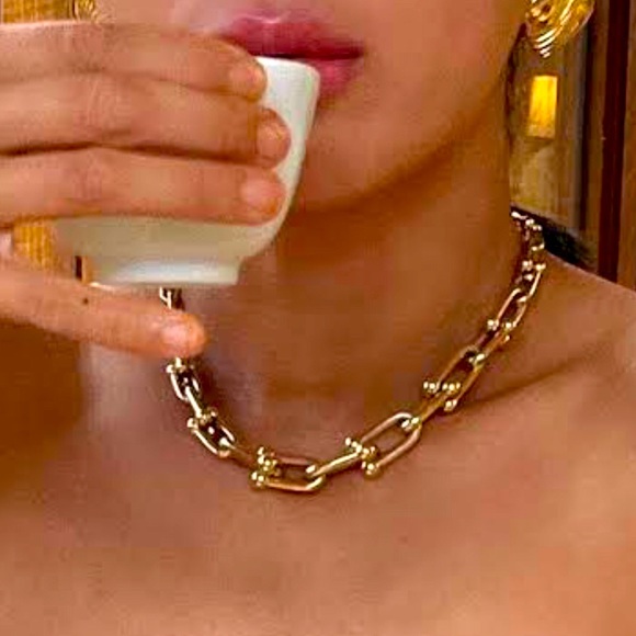 Gold Hardware Graduated Link U Necklace - Picture 3 of 12